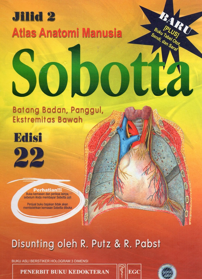 Atlas anatomi manusia Sobotta : batang badan, panggul, ekstremitas bawah, Jilid 2