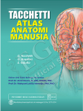 Atlas anatomi manusia Tacchetti